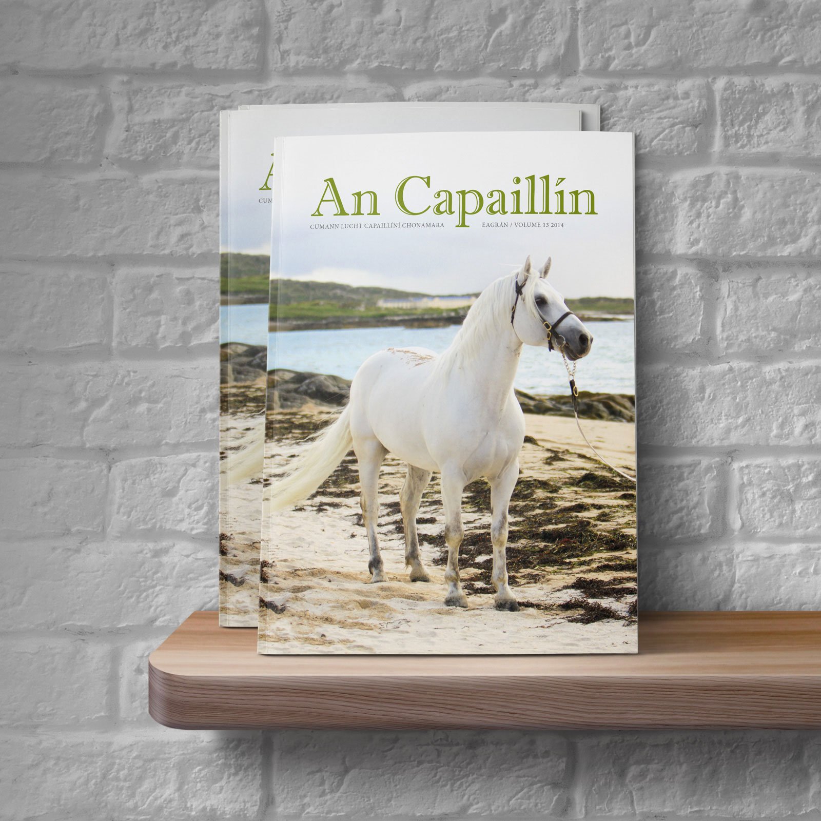 An Capaillín. - 02 with Shelf